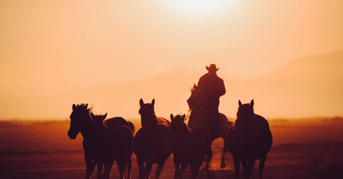 Стратегический анализ игры Wild West Gold с игровыми символами